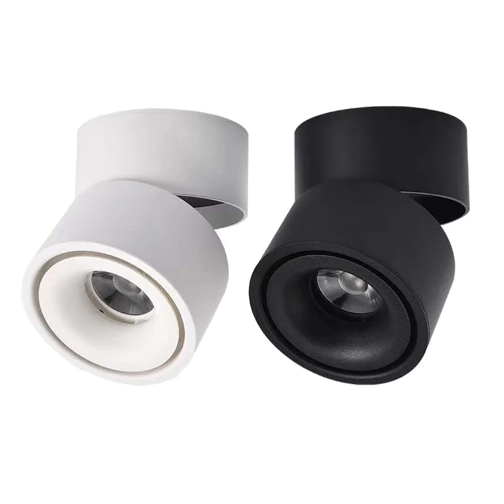 Surface Mounted Downlight Round 12W 3CCT