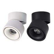 Surface Mounted Downlight Round 12W 3CCT