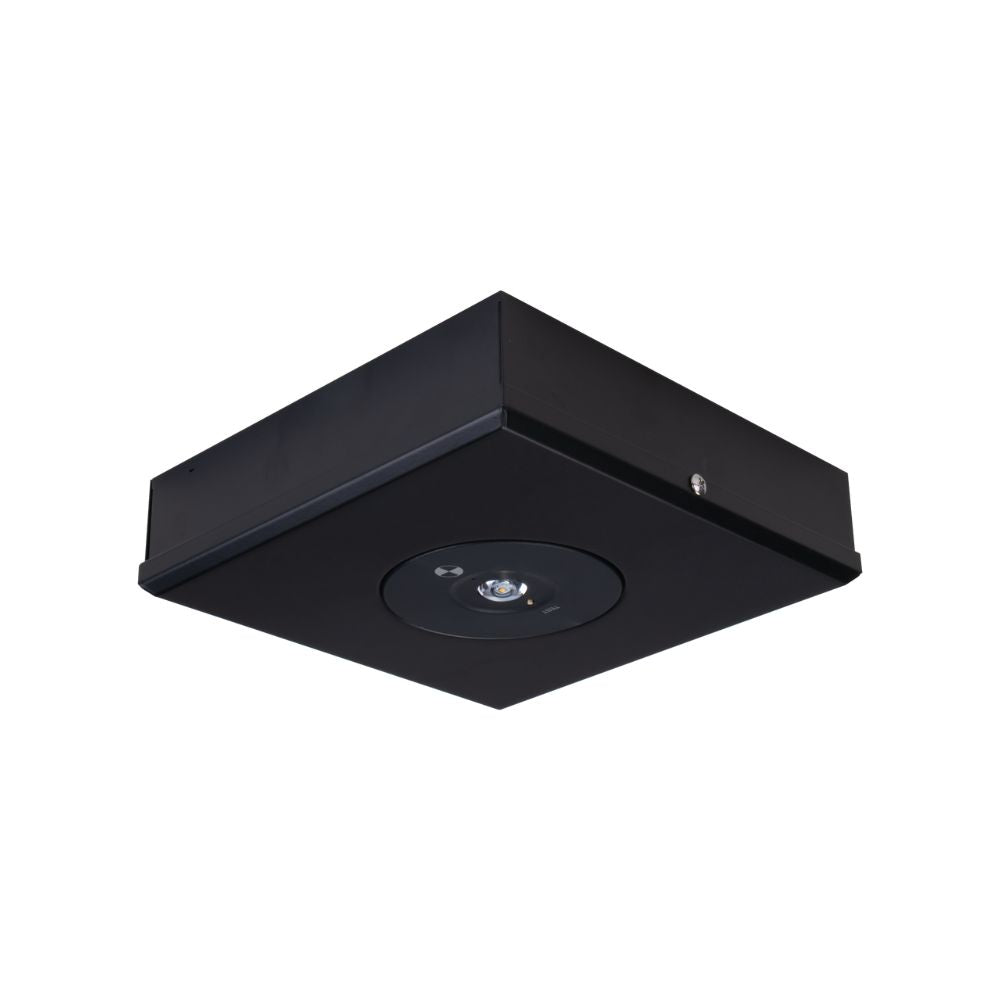 Domus EVAC-D63-SM - 3.5W LED D63 Non-Maintained Surface Mounted Emergency Light-Domus Lighting-Ozlighting.com.au