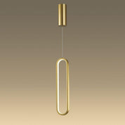 Oval LED Ring Pendant