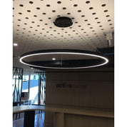 Nimbus Indirect/Direct Ring Pendant - Call For Pricing