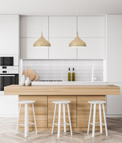 ZARA: Modern Dome Shape Pendant Lights