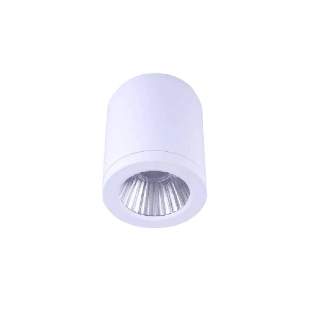 LED Surface Mounted Downlight White Aluminum 30W TRI Colour - DL3082/WH/TC