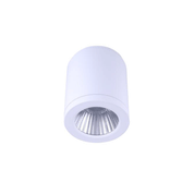 LED Surface Mounted Downlight White Aluminum 30W TRI Colour - DL3082/WH/TC