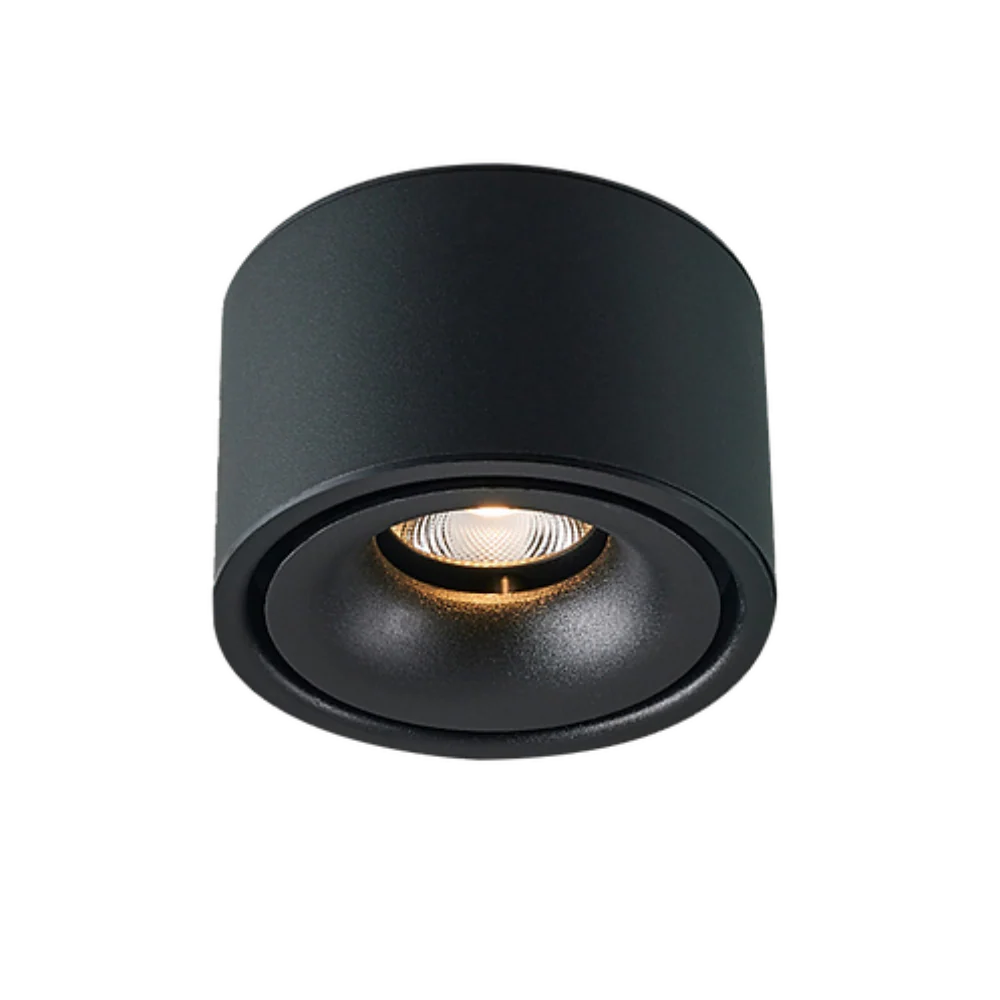 Surface Mounted Downlight Round 10W 3CCT