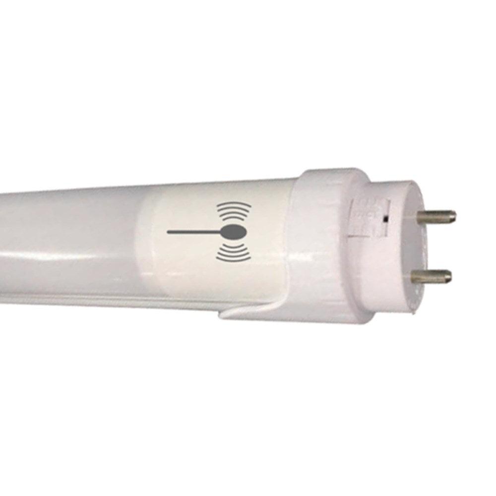 10w Fluorescent T8 2 Foot Globe Daylight 5000k VBLFT-T8-10W5K-MS Dimmable