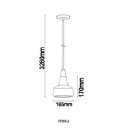 PENOLA: GU10 Smokey Black Glass Dome Pendant Light
