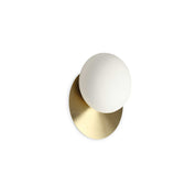 Ninfea Ap1 Wall Sconce Metal