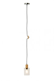 Modern Glass and Wood Pendant Light