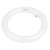 22W T9 CIRCULAR FLURO 3000K - 3000K Fluorescent T9 Tube 21cm