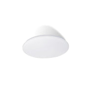 CASSIA 12w OYSTER
