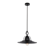 Benson Pendant Light Small, Large in Copper Wash, Gold Leaf, Charred or Weathered Iron