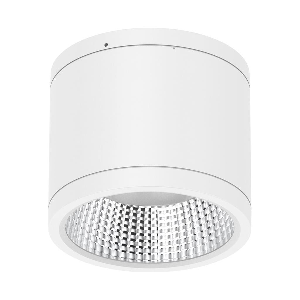 35W LED Tri-Colour Dimmable Surface Mount Downlight IP65-Domus Lighting-Ozlighting.com.au