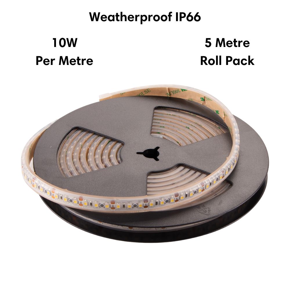 M Weatherproof Striplight IP66 12V 6500K 5M Roll Pack - DRIVER REQUIRED-Domus Lighting-Ozlighting.com.au