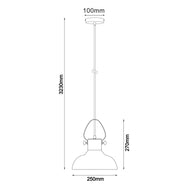 FUMOSO: Retro Smokey Black Mirror Finish Glass Dome Shape Pendant Light