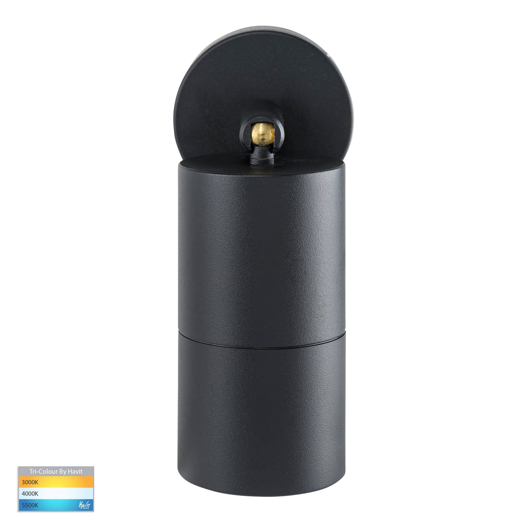 Havit Lighting Tivah Black TRI Colour Single Adjustable Wall Pillar Lights