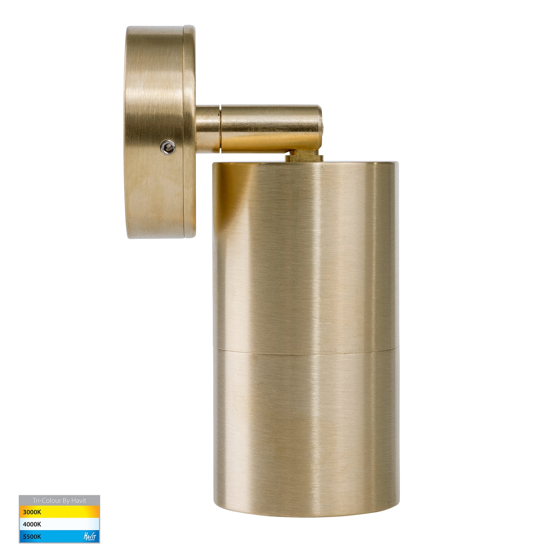 Havit Lighting Tivah Solid Brass TRI Colour Single Adjustable Wall Pillar Lights