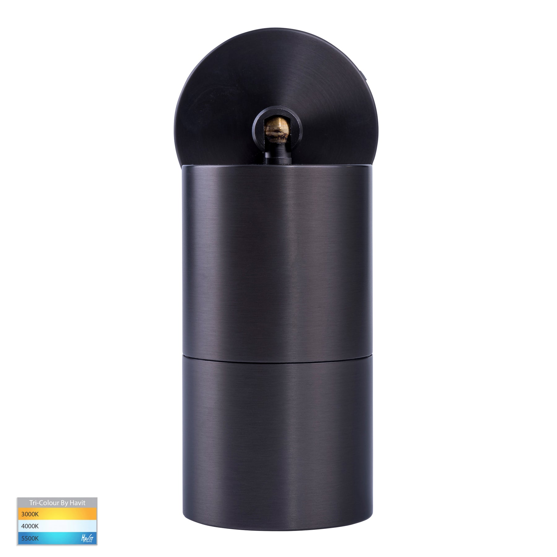 Havit Lighting Tivah Solid Brass Graphite Coloured TRI Colour Single Adjustable Wall Pillar Lights