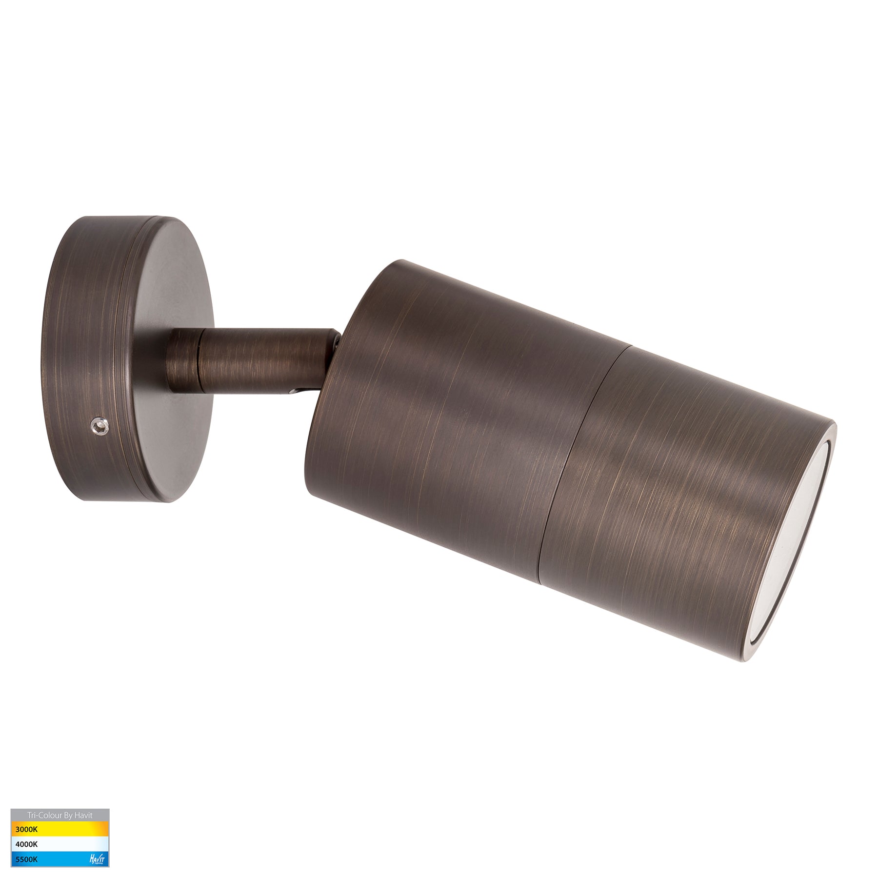 Havit Lighting Tivah Antique Brass TRI Colour Single Adjustable Wall Pillar Lights