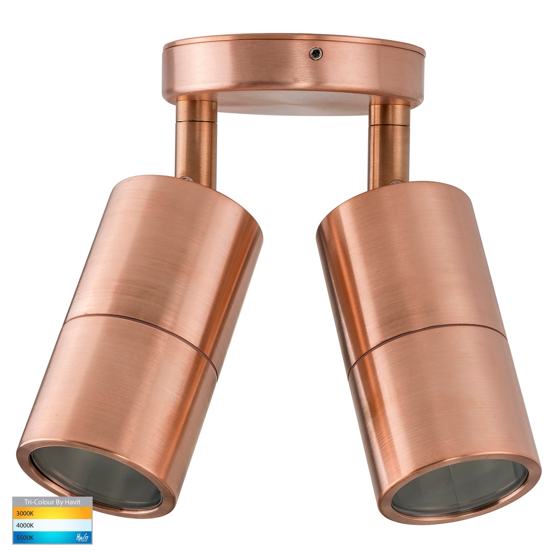 Havit Lighting Tivah Solid Copper TRI Colour Double Adjustable Wall Pillar Lights