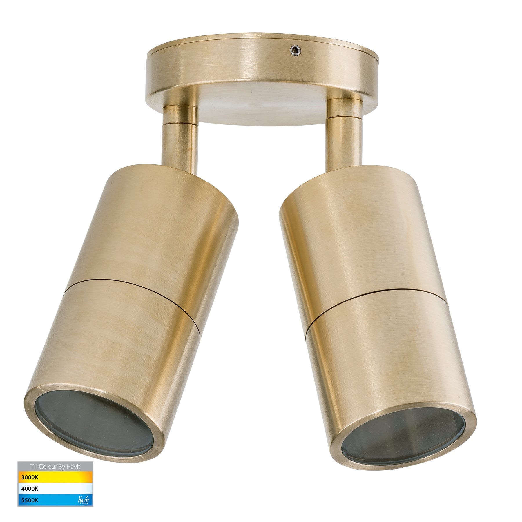 Havit Lighting Tivah Solid Brass TRI Colour Double Adjustable Wall Pillar Lights