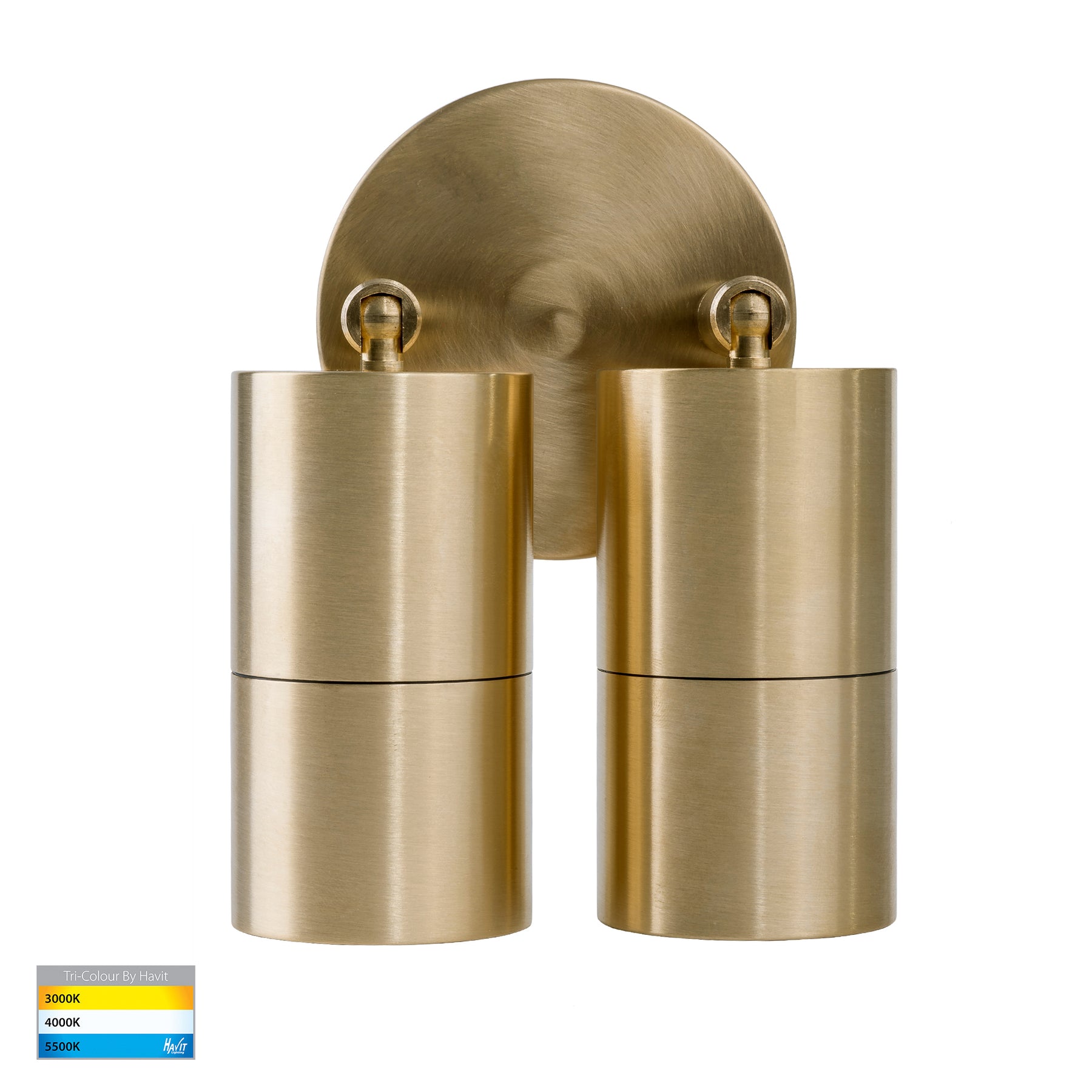 Havit Lighting Tivah Solid Brass TRI Colour Double Adjustable Wall Pillar Lights