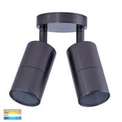 Havit Lighting Tivah Solid Brass Graphite Coloured TRI Colour Double Adjustable Wall Pillar Lights