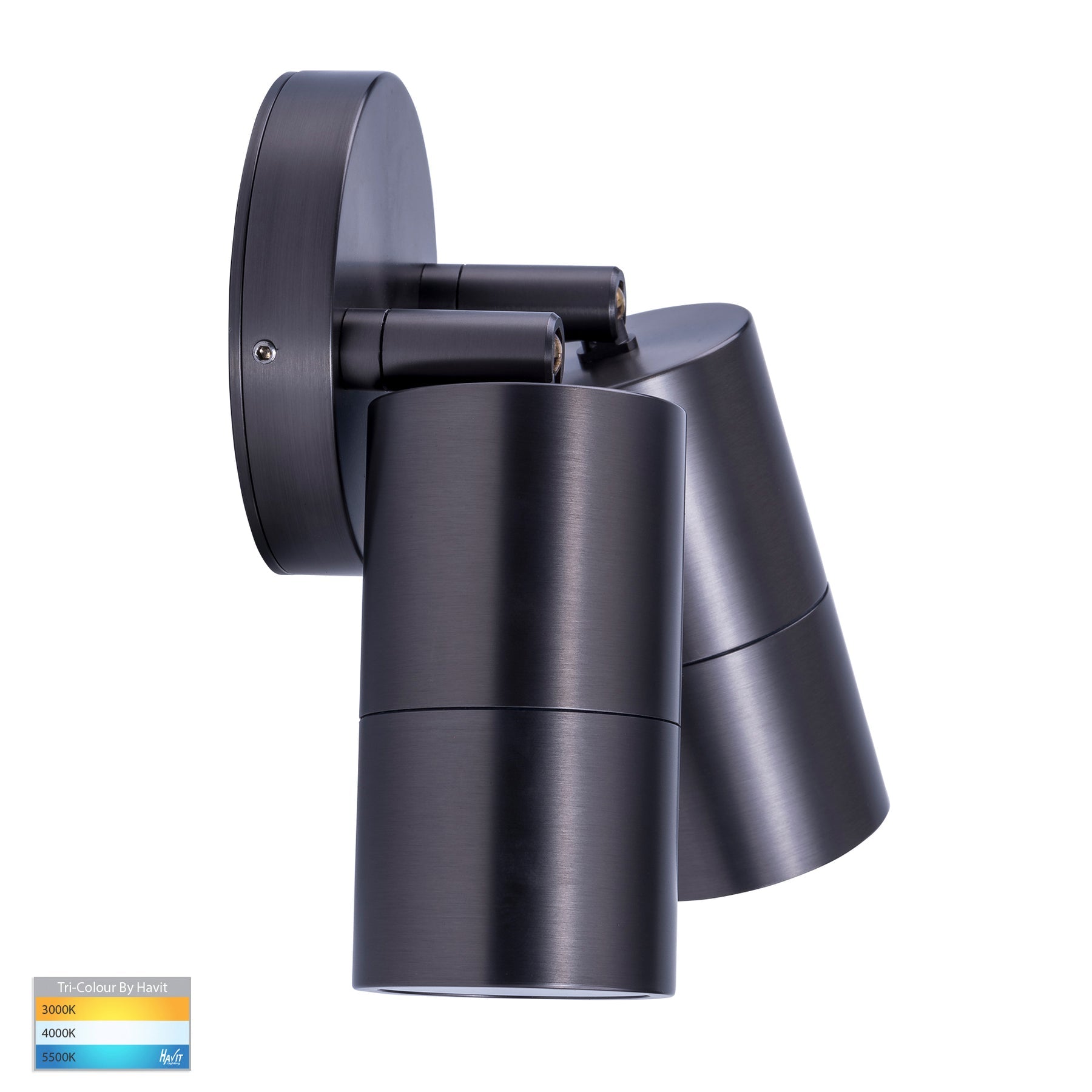 Havit Lighting Tivah Solid Brass Graphite Coloured TRI Colour Double Adjustable Wall Pillar Lights