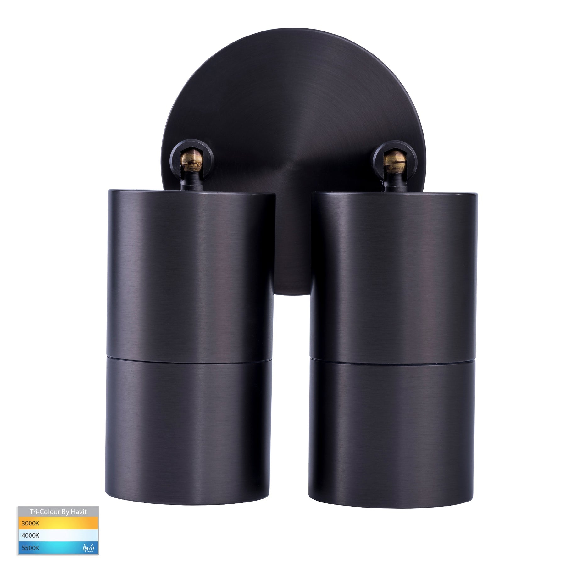 Havit Lighting Tivah Solid Brass Graphite Coloured TRI Colour Double Adjustable Wall Pillar Lights