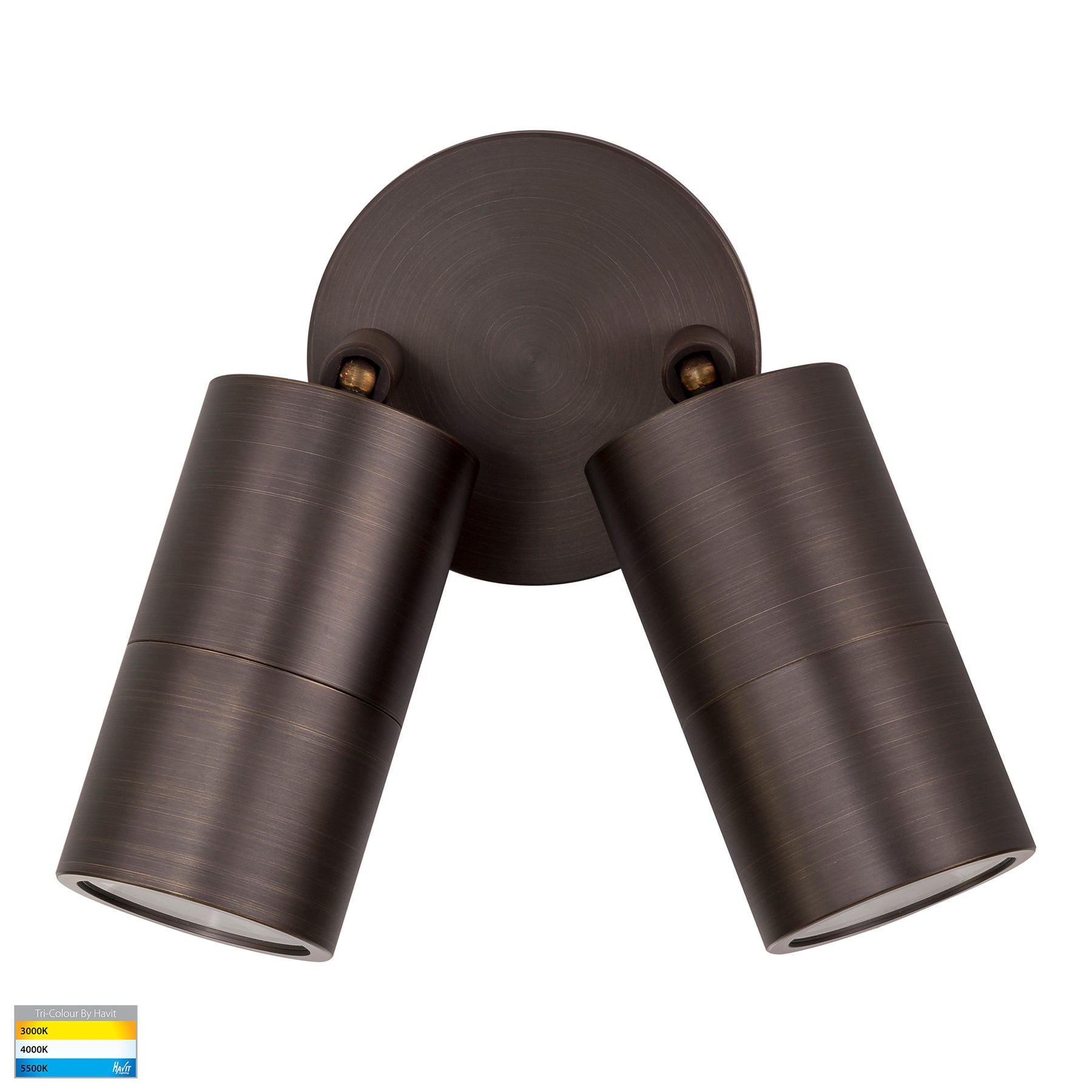 Havit Lighting Tivah Antique Brass TRI Colour Double Adjustable Wall Pillar Lights