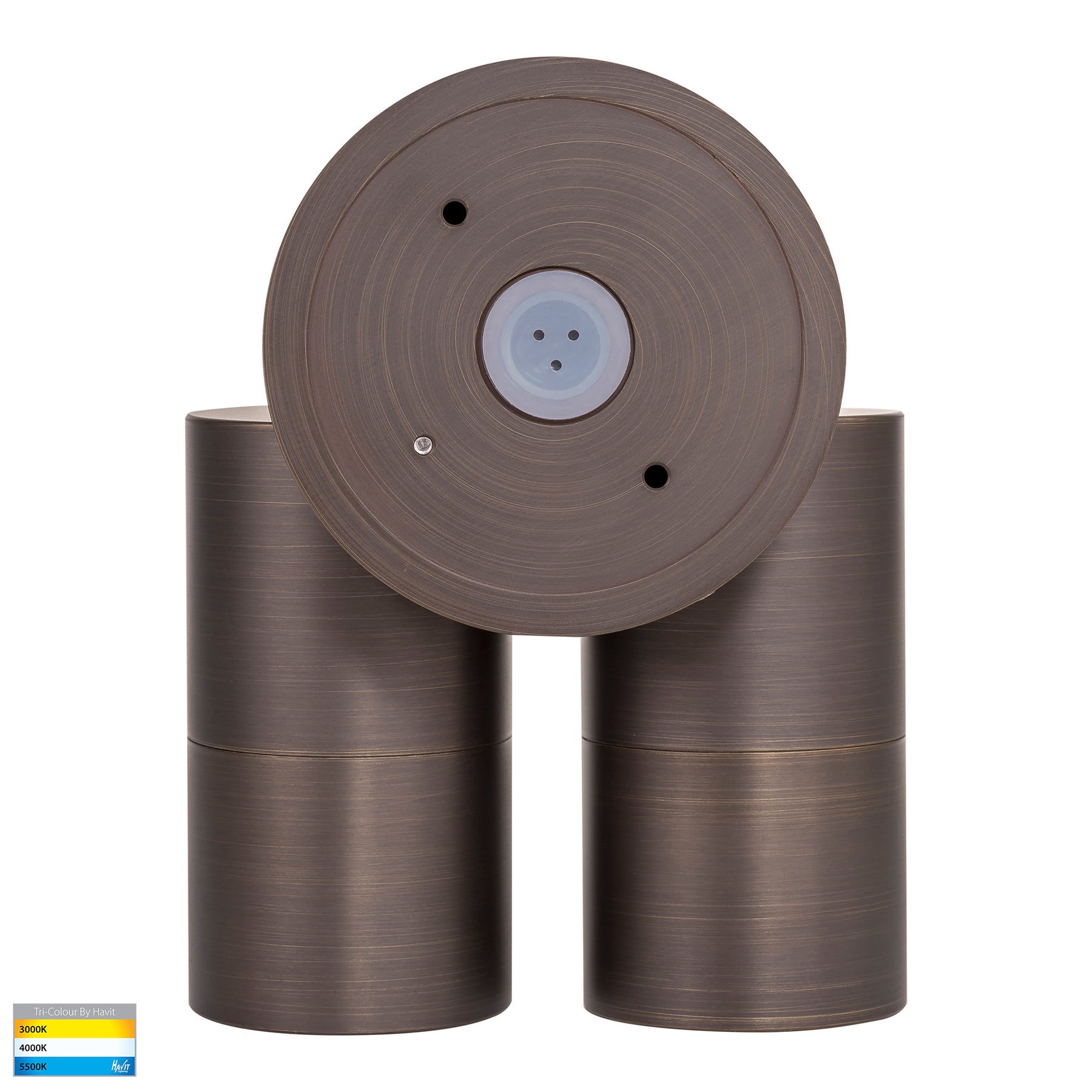 Havit Lighting Tivah Antique Brass TRI Colour Double Adjustable Wall Pillar Lights