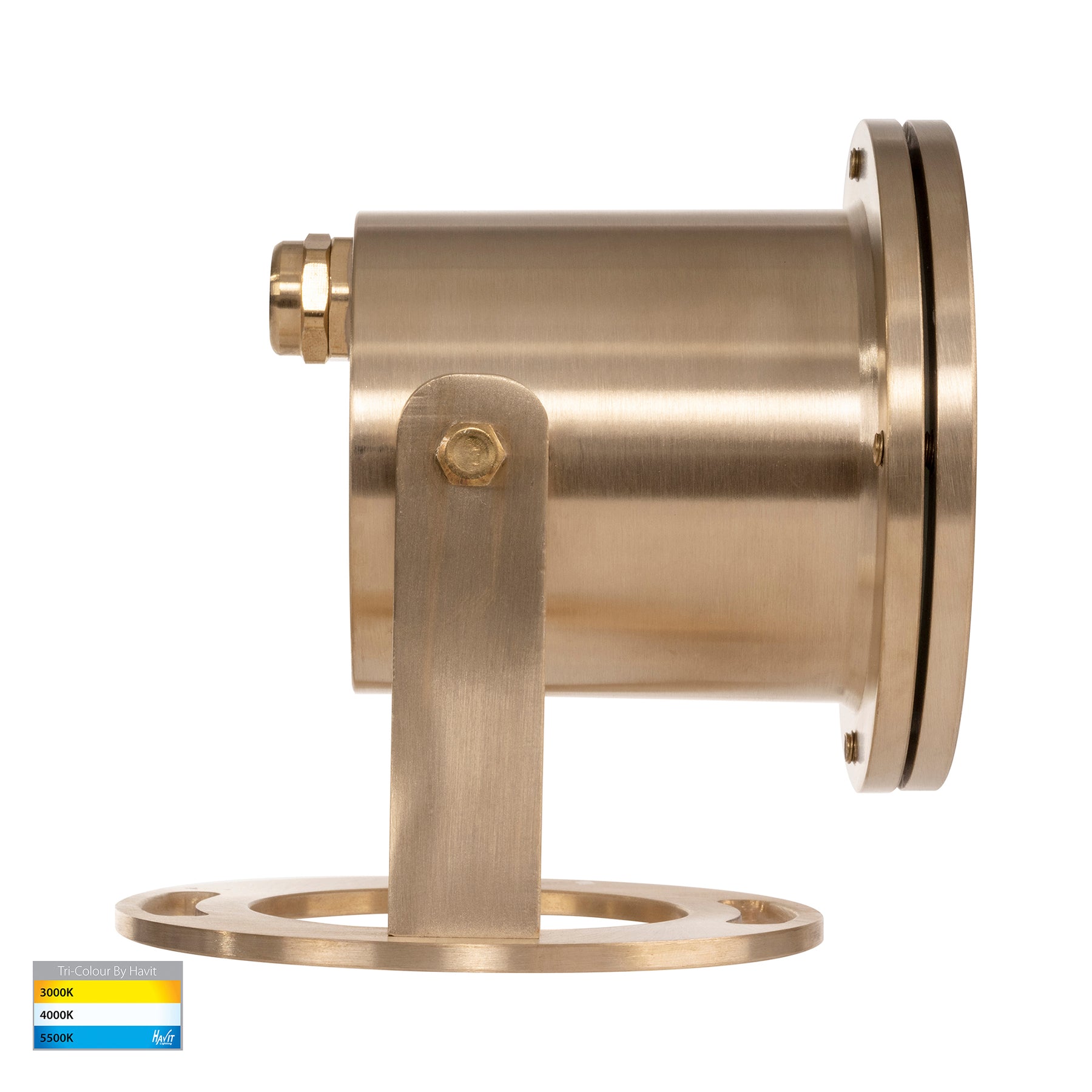 Havit Lighting Onder Solid Brass TRI Colour LED Pond Light