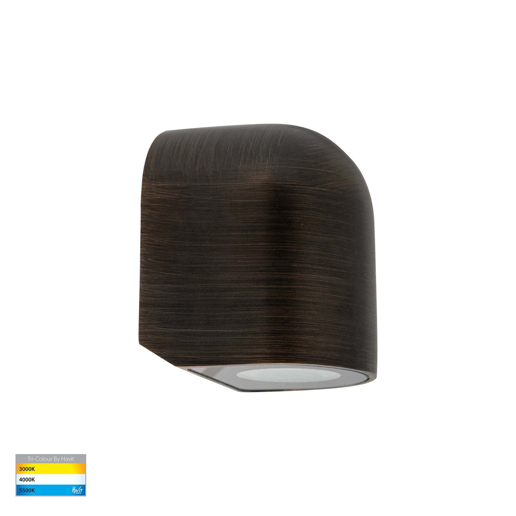 Havit Lighting Patra Antique Brass Surface Mounted LED Wall Light