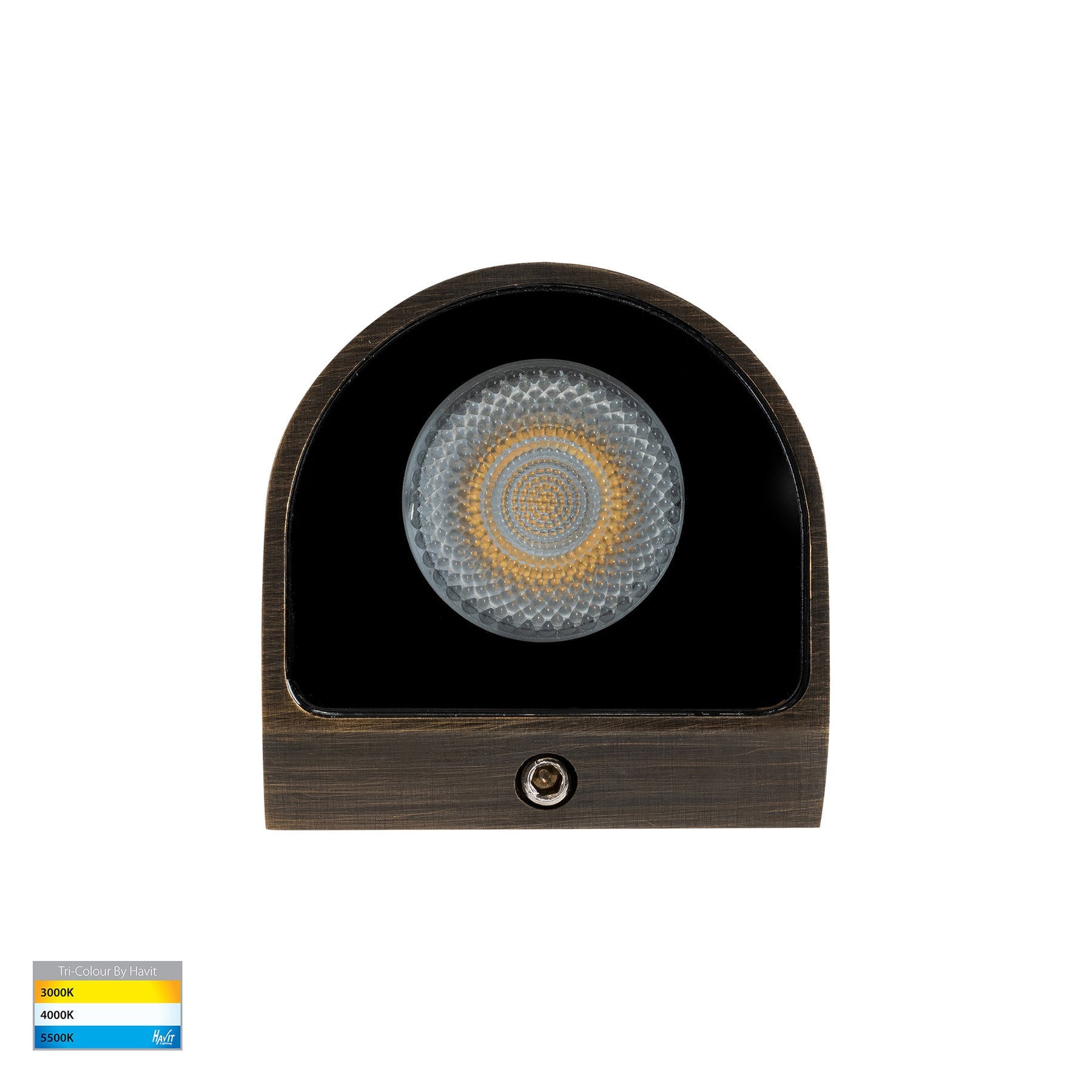 Havit Lighting Patra Antique Brass Surface Mounted LED Wall Light