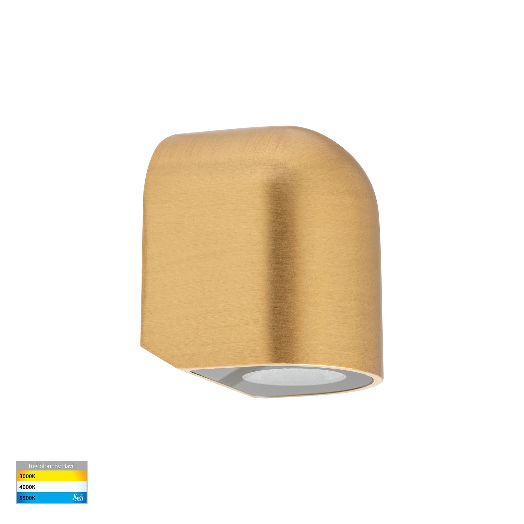 Havit Lighting Patra Solid Brass Surface Mounted LED Wall Light