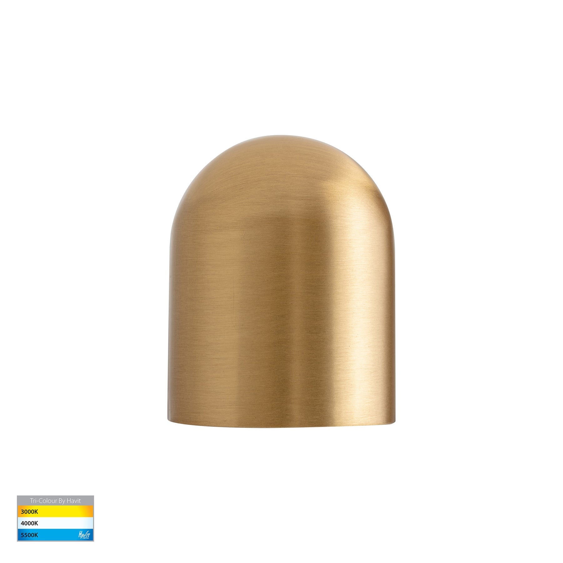 Havit Lighting Patra Solid Brass Surface Mounted LED Wall Light