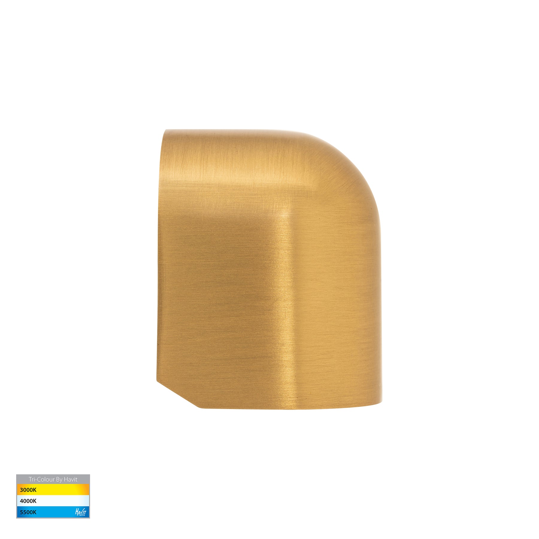 Havit Lighting Patra Solid Brass Surface Mounted LED Wall Light