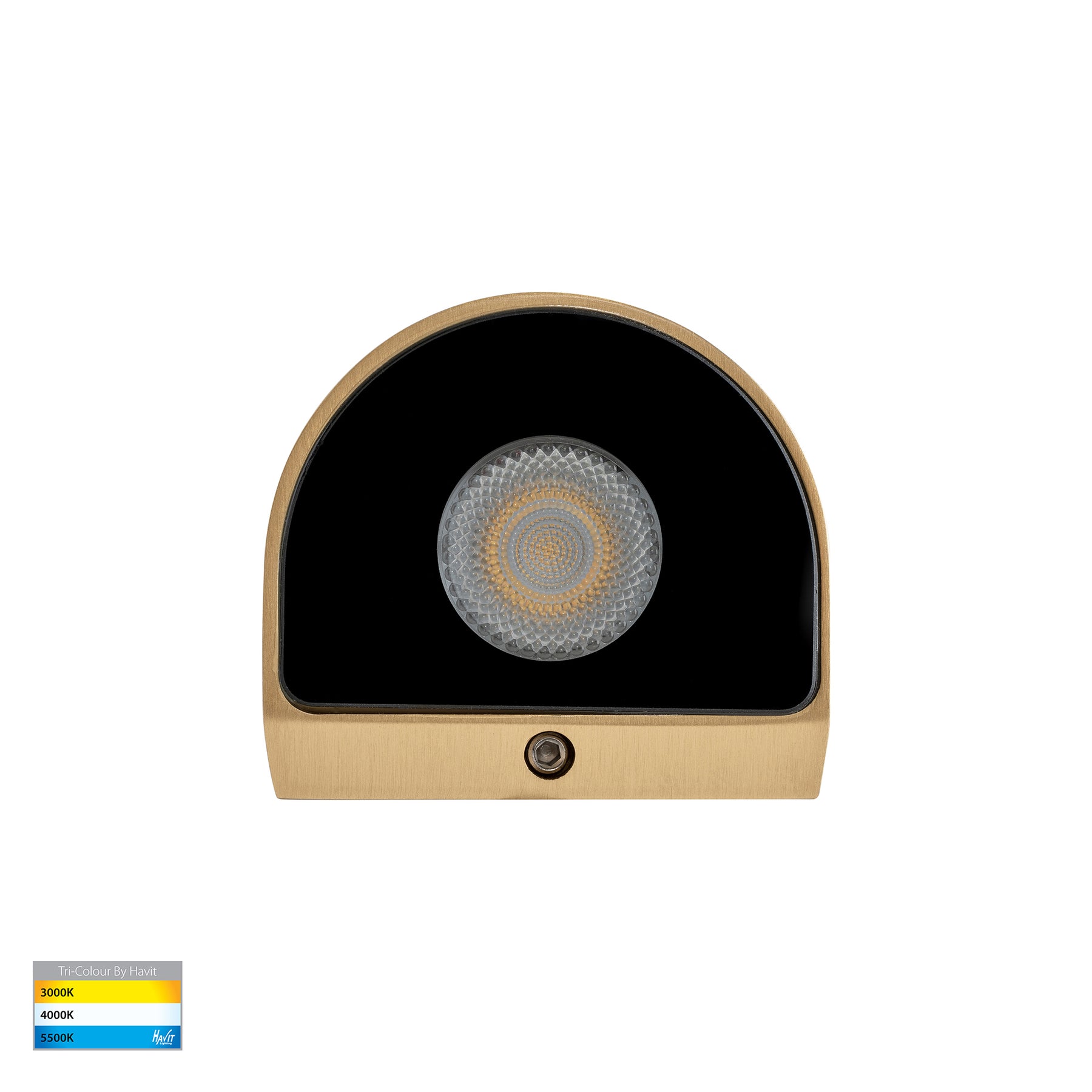 Havit Lighting Kaval Solid Brass Surface Mounted LED Wall Light