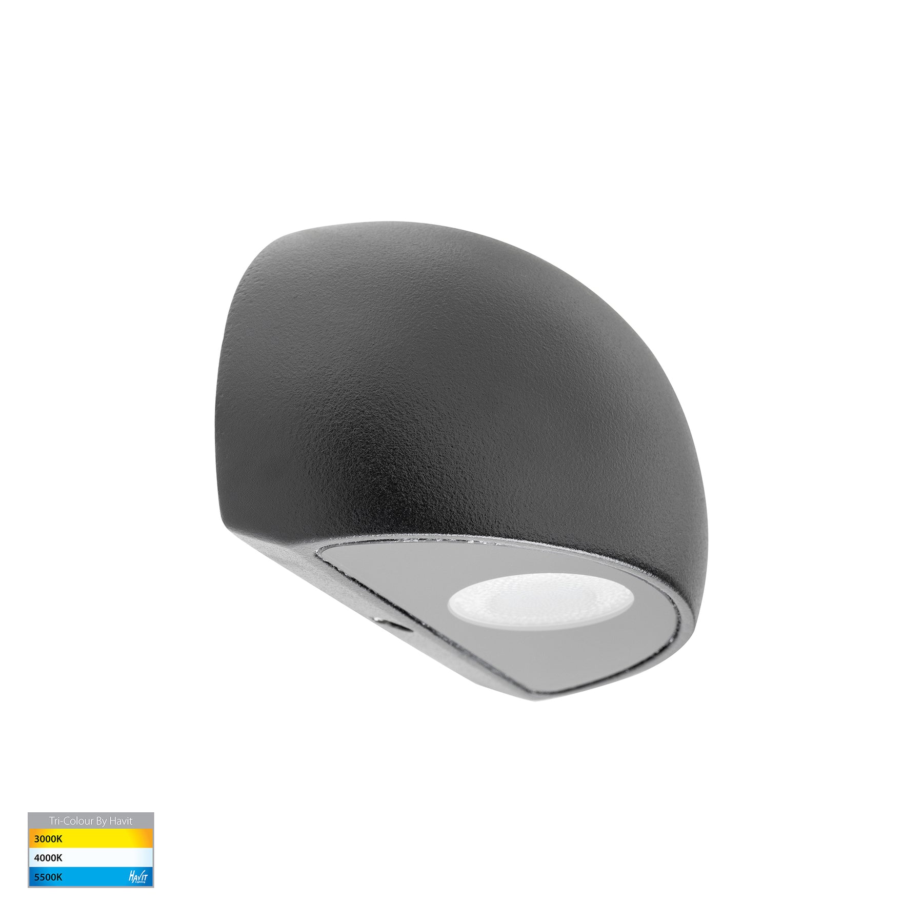 Havit Lighting Serres Black Surface Mounted LED Wall Light