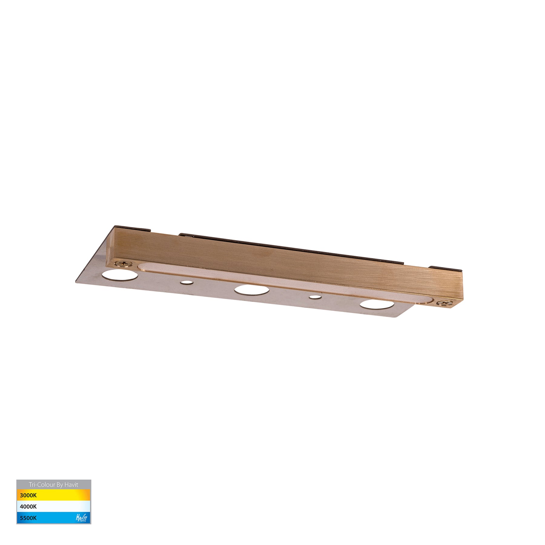 Havit Lighting Preston Solid Brass LED Coping Light