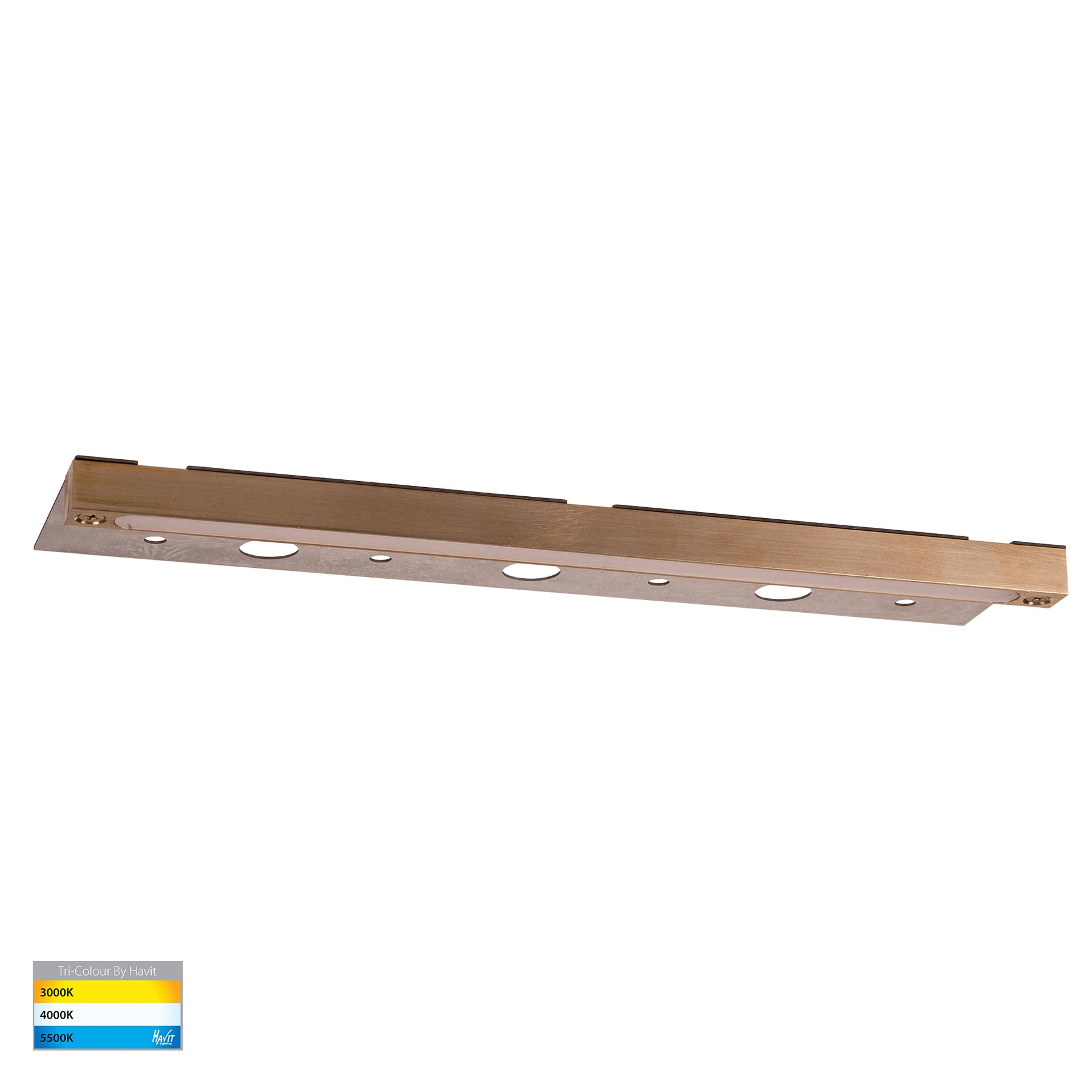 Havit Lighting Preston Solid Brass LED Coping Light