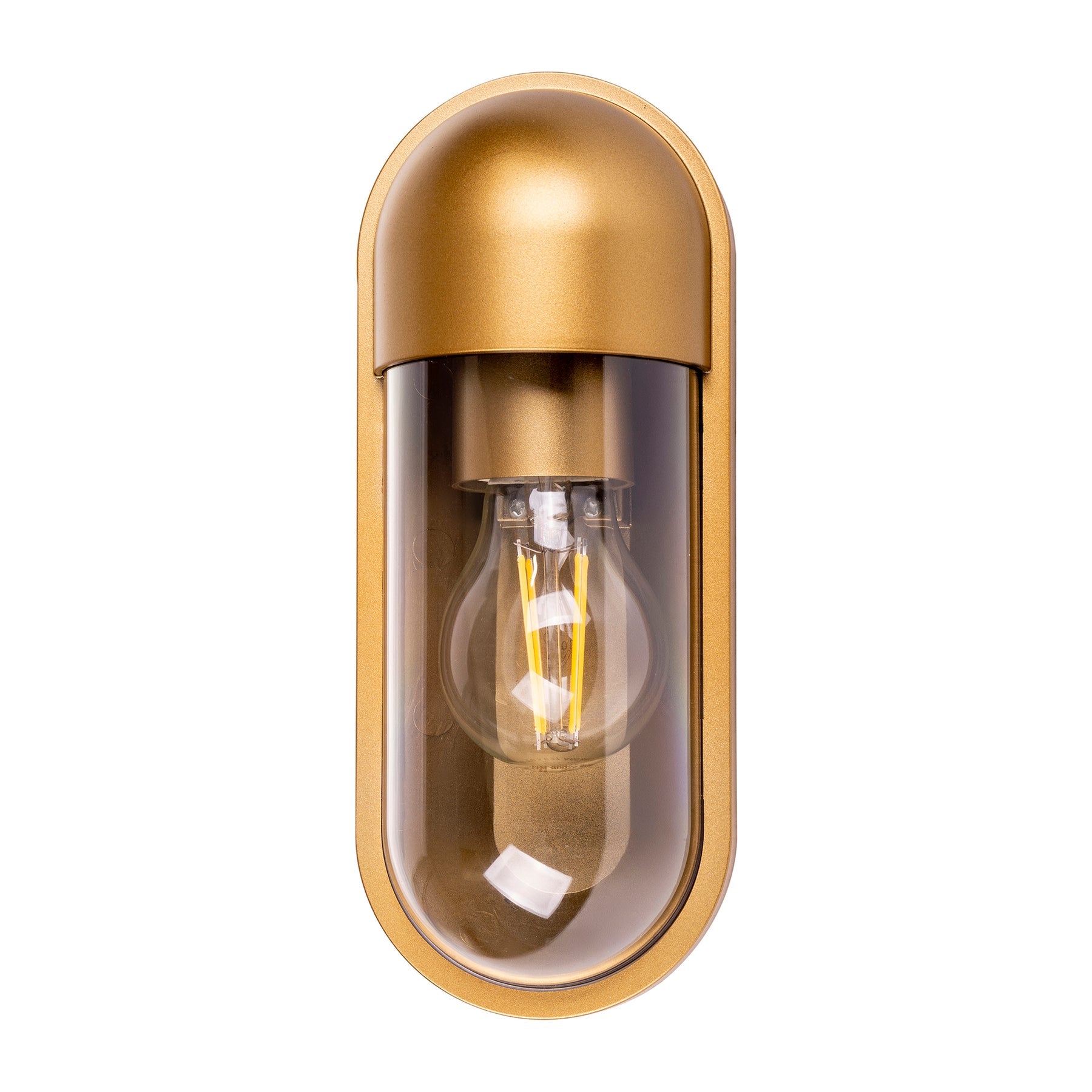 Havit Lighting Lume Polycarbonate Brass Wall Light