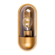 Havit Lighting Lume Polycarbonate Brass Wall Light