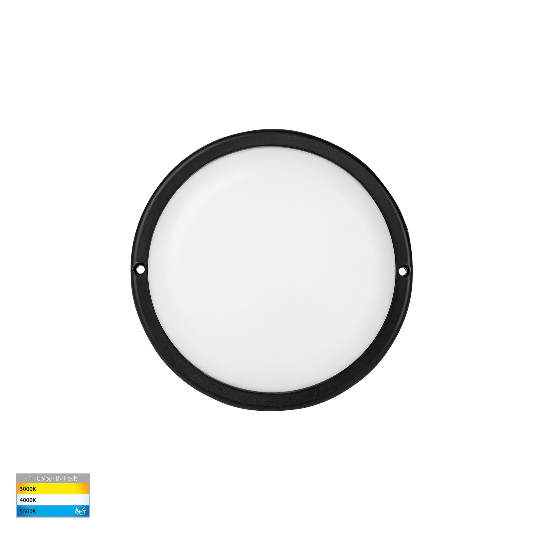 Havit Lighting Muovi Polycarbonate Black Wall or Ceiling Light