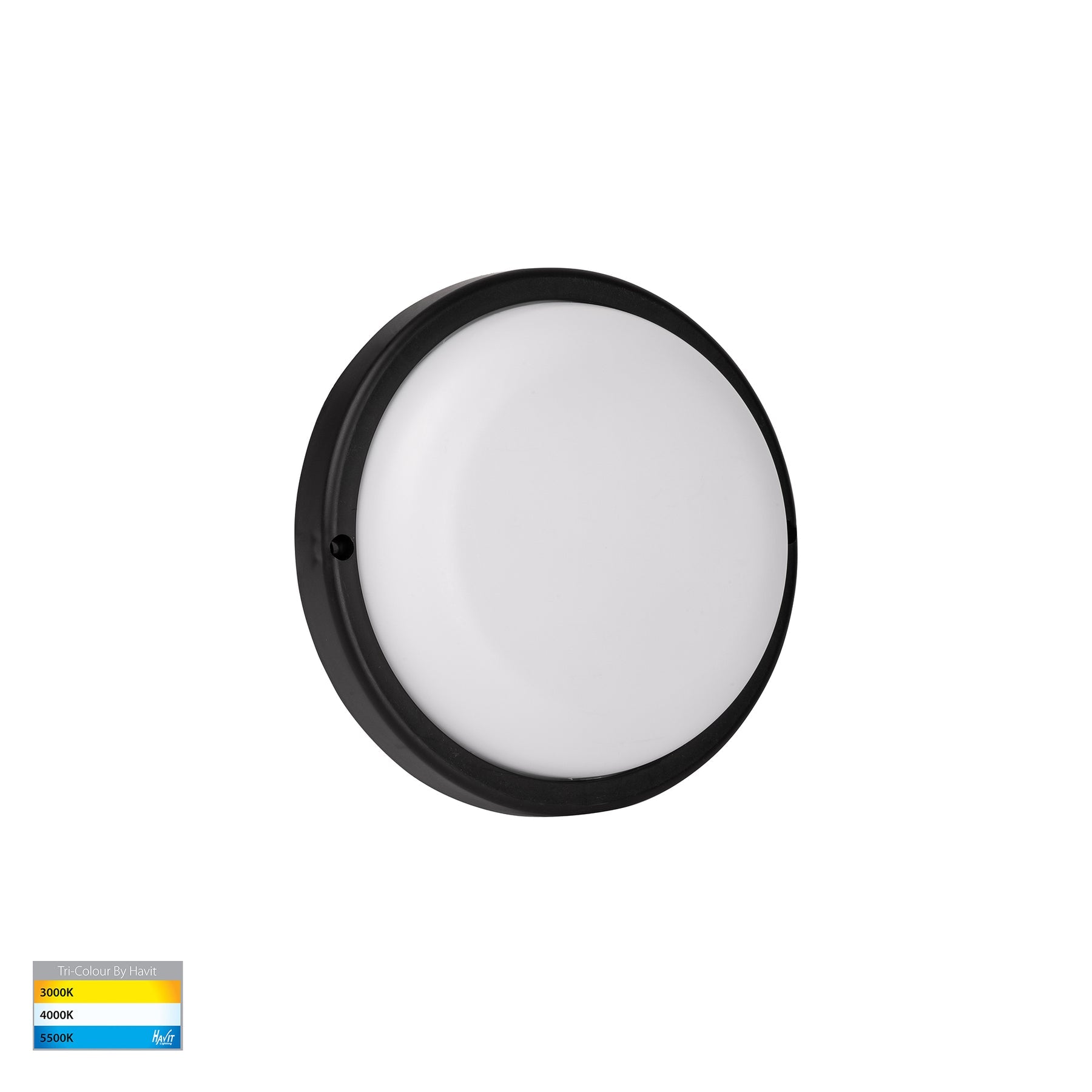Havit Lighting Muovi Polycarbonate Black Wall or Ceiling Light