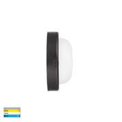 Havit Lighting Muovi Polycarbonate Black Wall or Ceiling Light