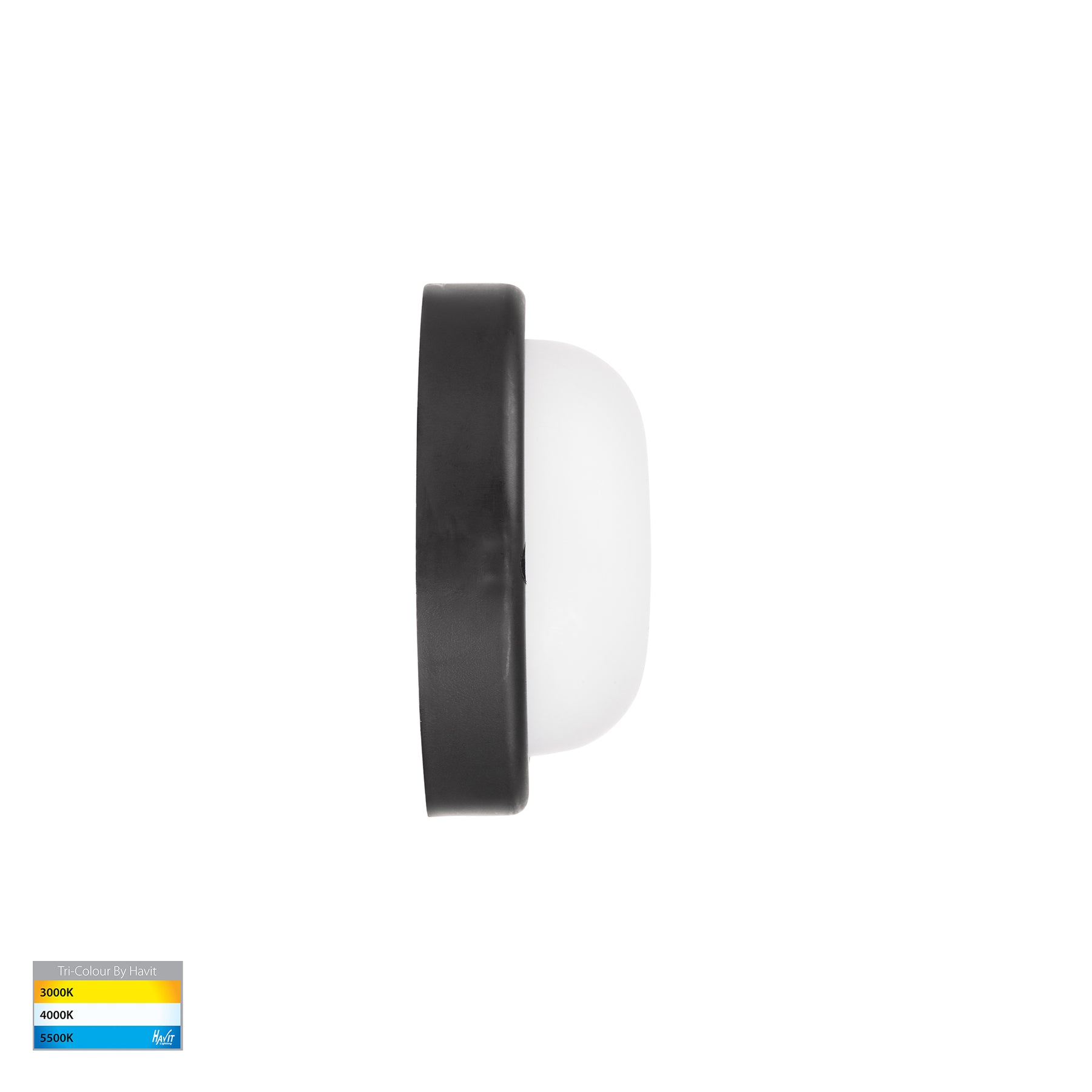 Havit Lighting Muovi Polycarbonate Black Wall or Ceiling Light