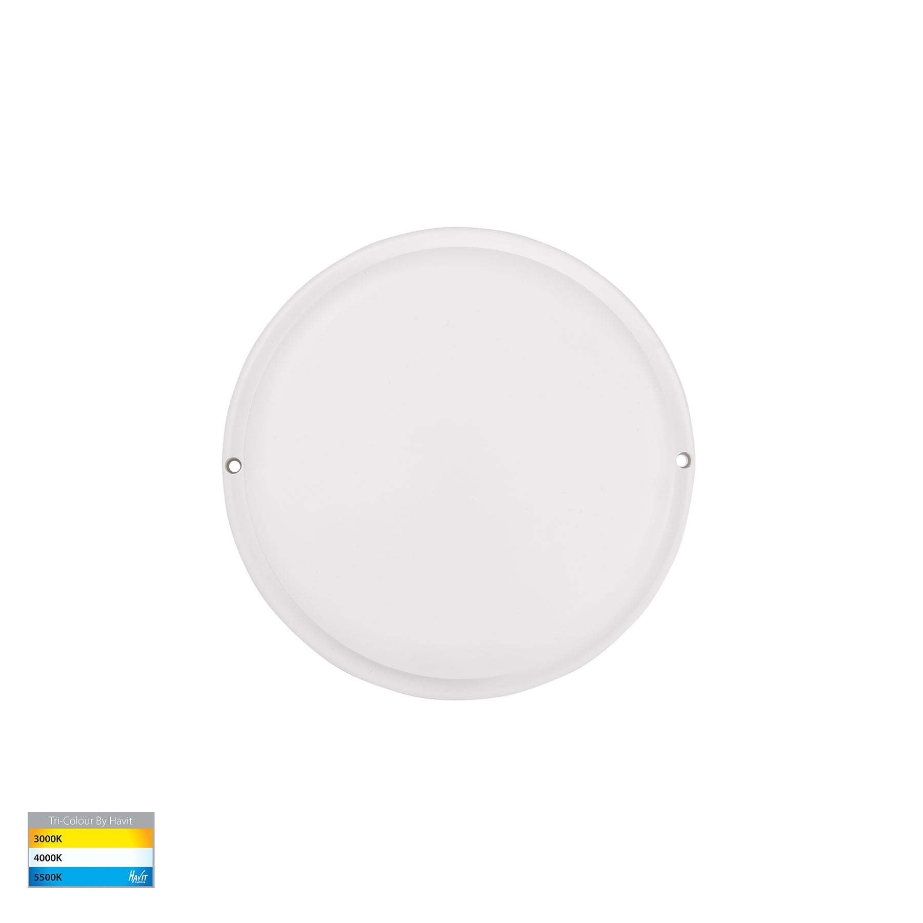 Havit Lighting Muovi Polycarbonate White Wall or Ceiling Light