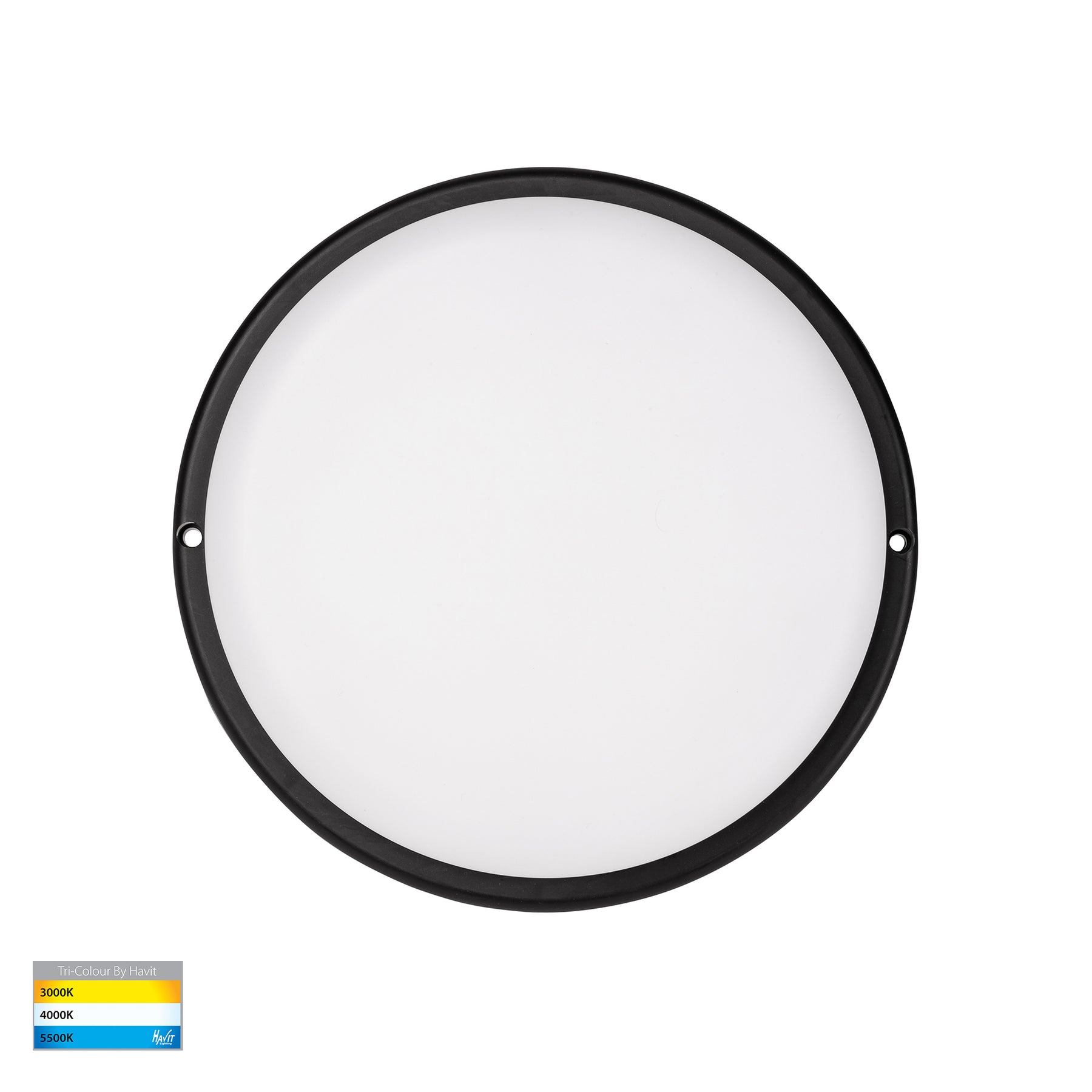 Havit Lighting Muovi Polycarbonate Black Wall or Ceiling Light