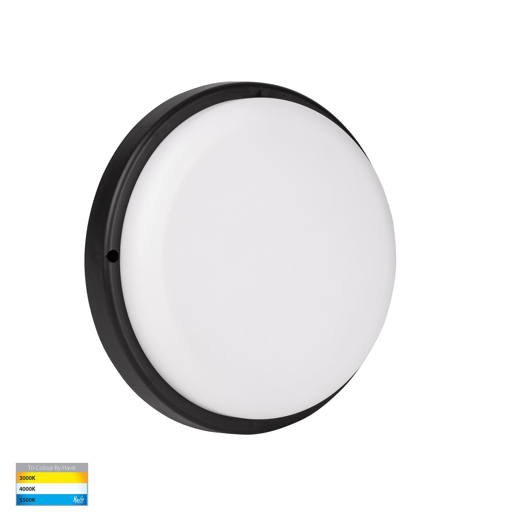 Havit Lighting Muovi Polycarbonate Black Wall or Ceiling Light